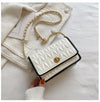 New Fashion Women's Shoulder Bag Simple Chain Texture Small Square Bag Light Luxury Party Crossbody Bag Purses and Handbags